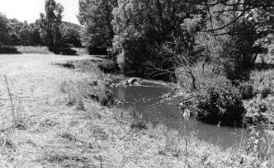 Löbau-Oppeln. Löbauer Wasser unterhalb der ehem. Mühle
