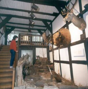 Urwald Sababurg. Jagd-und Forstmuseum. Eingangshalle
