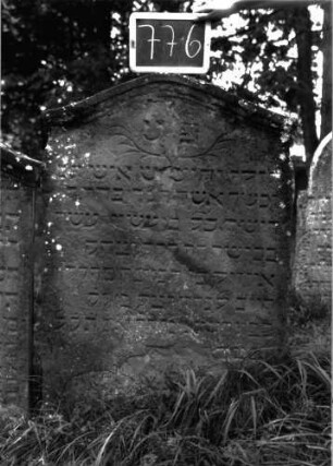 Grabstein 776 (Index: 100104699) Material: Sandstein Zustand: von unten aufsteigende Verwittertung Maße HxBxT: 123x82x11 cm Beschreibung: Stele, flacher Konvexbogenabschluss mit Verdachung, darunter seitlich leicht eingezogen, unterhalb der ersten Zeile gekreuzte Zweige (stilisierte Palmwedel?) Symbolik: (Palm?)Zweige: Grabstein 776