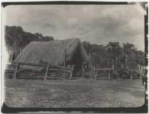 Tropenhaus mit Dach aus Motacublättern in Tarumá