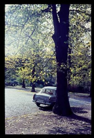 Ohlsdorfer Friedhof 12.10.63.