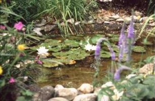 Woche der Umwelt Berlin 2002