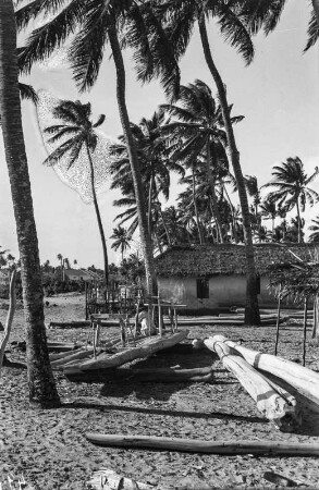 Palmen : Palmen neben einem Haus am Strand. Im Vordergrund einige Flöße.