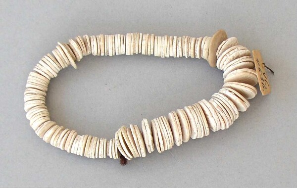 Necklace made from mussel shells