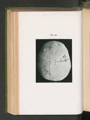 Fig. 93.