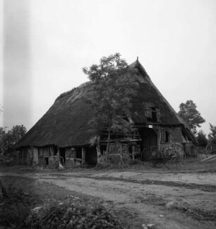 Reetdachhaus "Buck'sche Kate" vor Abriss: davor Baum und Wagenräder