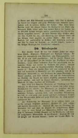 20. Pferdezucht