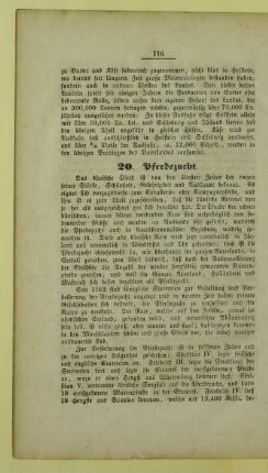 20. Pferdezucht