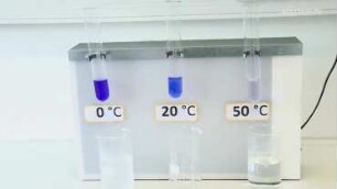 Photochemistry: Unequal equilibria