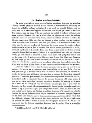 4. Stratum granulatum internum.