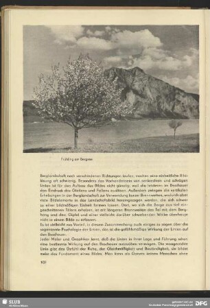 Frühling am Bergsee