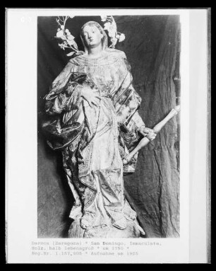 Immaculata