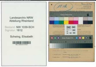 Entnazifizierung Elisabeth Schwing , geb. 23.03.1901 ()