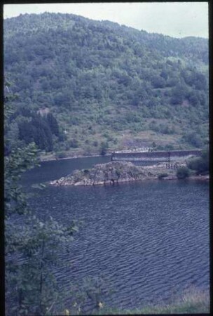 Stausee Lac d'Alfeld in den Südvogesen