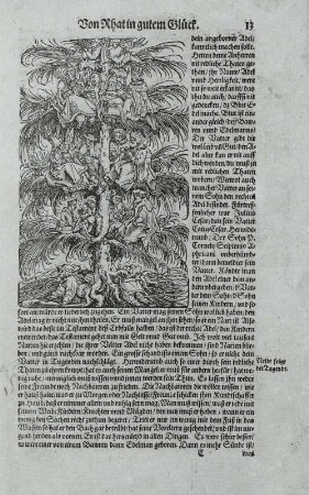 Von Adelichem Stamm und Ursprung (Ständebaum) : Petrarca-Meister: Textseite mit Titelholzschnitt des Kapitels "Von Rath in gutem Glück". Holzschnitt; 15,5 x 9,3 cm. Aus: Petrarca: Von der Artzney bayder Glück. Augsburg; 1532. Dresden: Kupferstich-Kabinett B 258, 2, Blatt 13