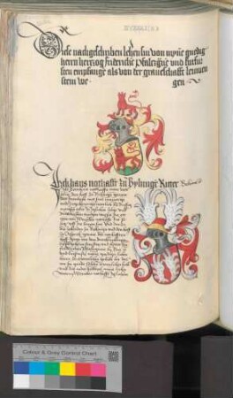 Hans Nothaft zu Beihingen
