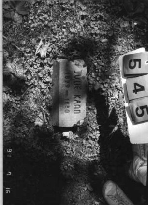 Grabstein 545 [Hahn S. 241 Grab-Nr. 410]