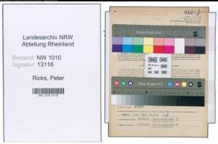 Entnazifizierung Peter Ricks , geb. 08.09.1911 (Spediteur)