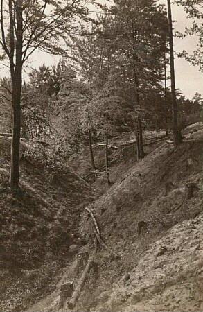 Dresdner Heide. V-Tal am Kuhschwanzweg