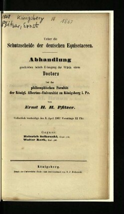 Über die Schutzscheide der deutschen Equisetaceen