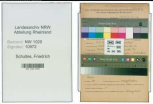 Entnazifizierung Friedrich Schultes , geb. 10.04.1911 ()