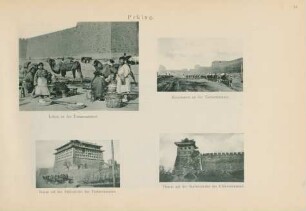 Peking
