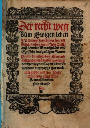 Der recht weg zum ewigen Leben : [Acc.:] Auß allen Episteln ... S. Pauls etlich ... sprüch