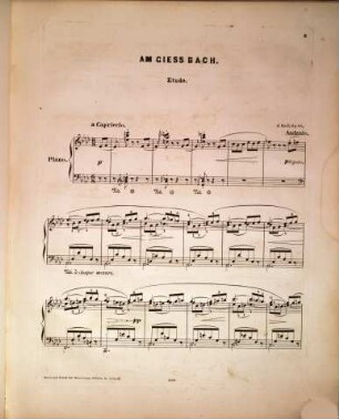 Am Giessbach : Etude für d. Pianoforte ; op. 88
