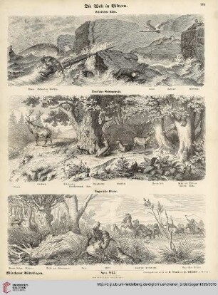 Nro. 275