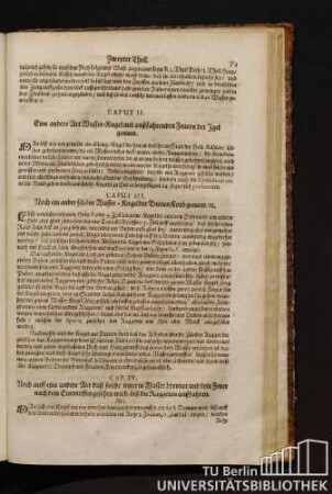 Caput II. Eine andere Art Wasser-Kugel mit außfahrenden Feuern der Igel genant. - Caput III. Noch ein ander schöne Wasser-Kugel der Bienenkorb genant.