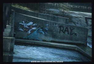 RAY