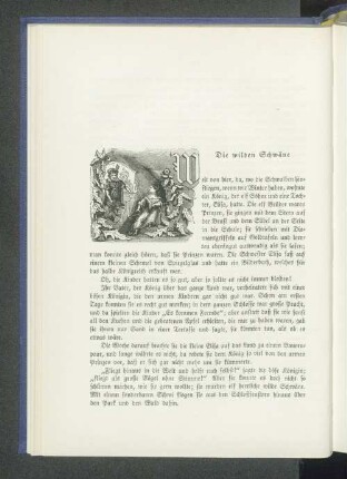 Die wilden Schwäne