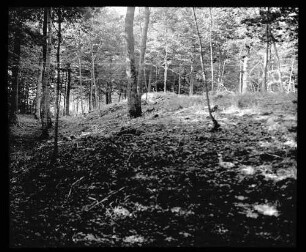 Viereckschanze bei Bütthard