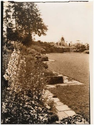 Garten von Bauer, Rhode: Rittersporn