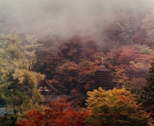 "Shintō-Schrein am Tanzan-Berg" aus der Serie "Yamato-ji" (Weg von Yamato)