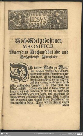 Leichenpredigt : Leichen-Rede