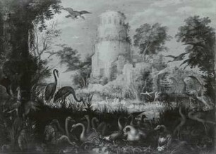 Turmruine am Vogelweiher