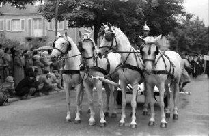 Freiburg: Schützenstraße, Schimmelgespann