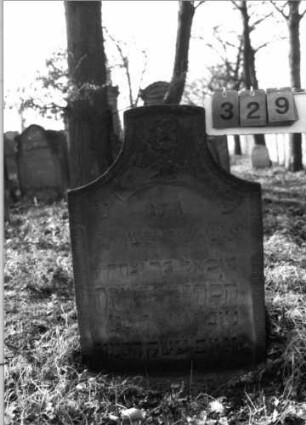 Grabstein 329 (Index: 100115819) Material: Sandstein Zustand: verwittert, teilweise im Boden versunken mit Textverlust Maße HxBxT: 86x59x8 cm Beschreibung: Stele mit konkav eingezogenem Segmentbogenabschluß, eingetieftes Schriftfeld Symbolik: Cohanim-Hände, Blüte: Grabstein 329
