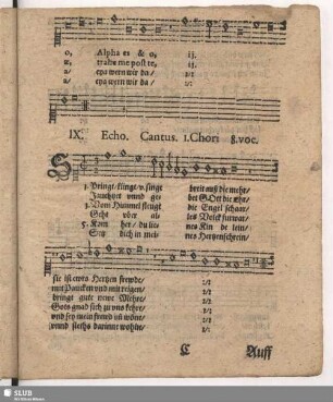 IX. Springt klingt und singt breit aus die Mär