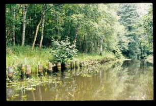 Spreewald 26.7.84.