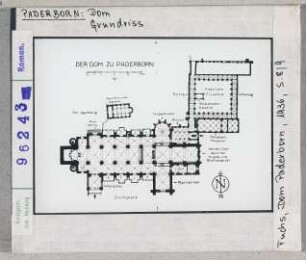 Paderborn: Dom, Grundriss