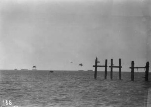 Meer vor Kapstadt : Blick auf ein Meer