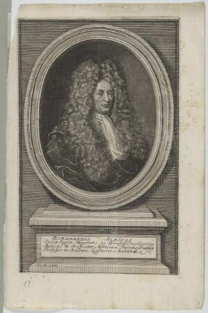 Bildnis des Bernhardus Albinus