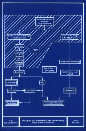 Verfahren der Flachsernte und- Aufbereitung (nach Brenndörfer)