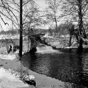 Mühlenteich mit Wehr und Überlauf: vorn Böschung: links und rechts Bäume: Winter
