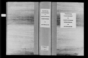 Heidelsheim, evangelische Gemeinde: Standesbuch 1803-1824