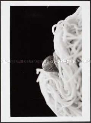 Gesicht mit Spaghetti bedeckt, Zunge schaut heraus (Altersgruppe 18-21)