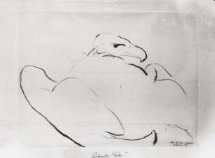 Ruhender Geier. Tusche- und Kohlezeichnung (1934; E. Richter). Dresden-Südvorstadt, Eisenstuckstraße, Atelier der Künstlerin