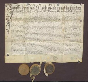 Vertrag zwischen den Gemeinden zu Vimbuch und Schwarzach, dem Amte Beinheim und der Stadt Stollhofen, wegen Erbauung, Bezahlung und Reparierung des Gutleut- oder Siechenhauses zu Stollhofen, veranstaltet von den Einwohnern daselbst